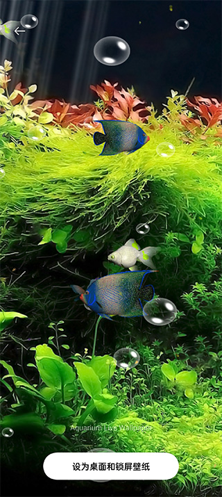 水族馆动态壁纸（Aquarium Live Wallpaper）