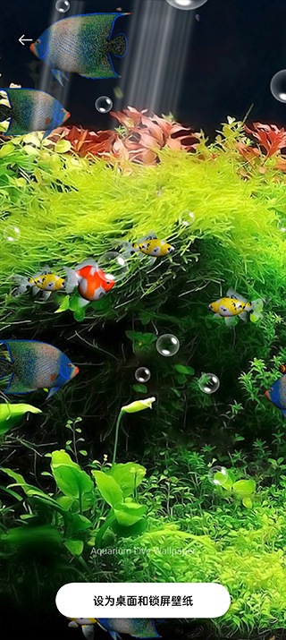 水族馆动态壁纸（Aquarium Live Wallpaper）