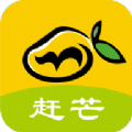 赶芒用户端