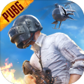 pubg2.8.0版本