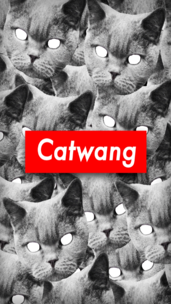 catwang(拍照app)安卓中文版下载