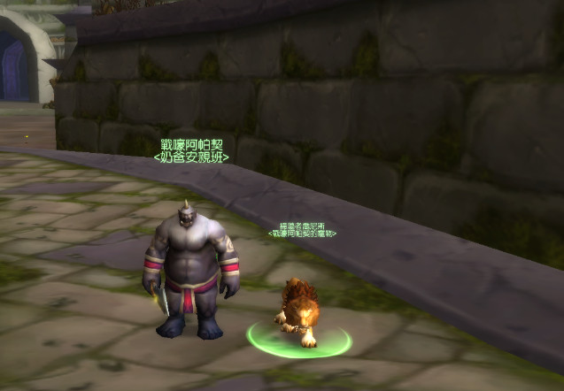 魔兽世界怀旧服厄运之槌单刷心得 魔兽世界怀旧服厄运之槌单刷心得