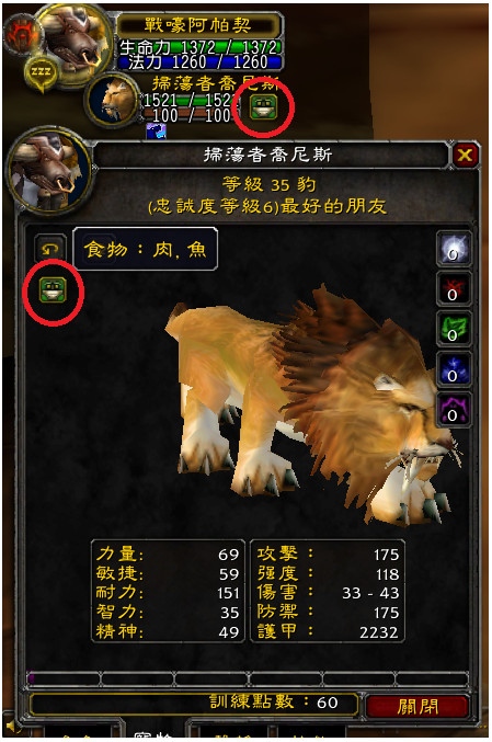魔兽世界怀旧服猎人宠物训练心得 魔兽世界怀旧服猎人宠物训练心得