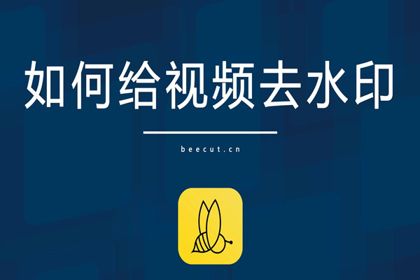 视频去水印app