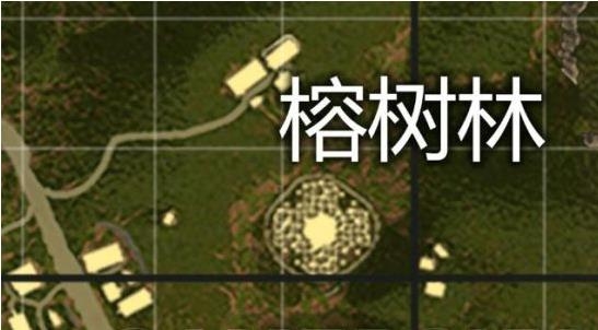 刺激战场热带雨林地图新手怎么玩-热带雨林地图打法推荐 刺激战场热带雨林地图新手怎么玩-热带雨林地图打法推荐