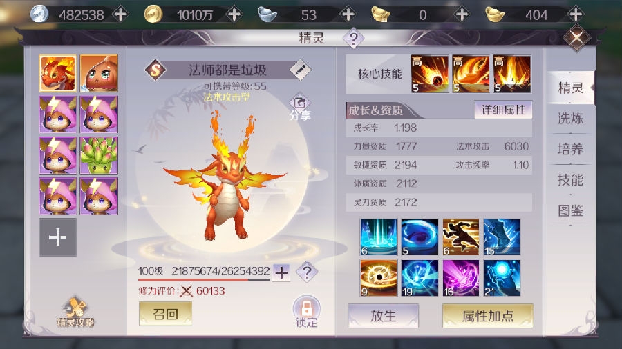 完美世界大型法师攻略-法师怎么玩更好