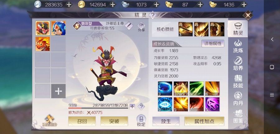 完美世界手游关于物理职业全敏火龙技能