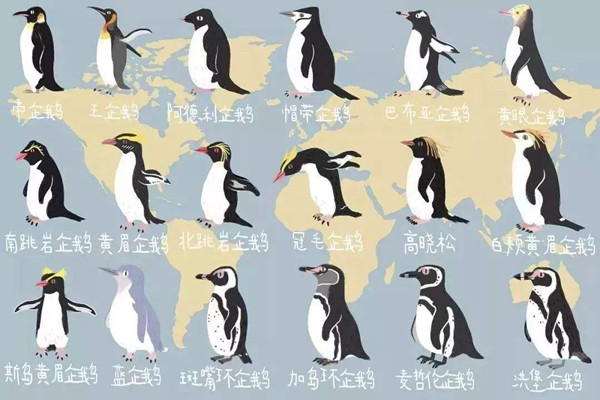 企鹅单机游戏