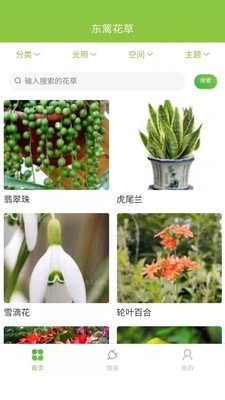 东篱花草软件