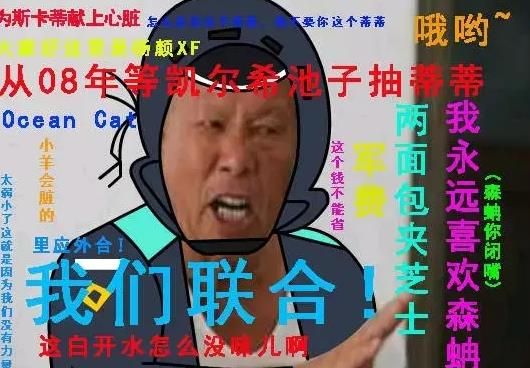 两面包夹芝士梗图下载