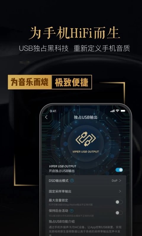 VIPER HiFi(音频解码)最新版