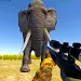 Jungle Hunt Safari（丛林狩猎）手机游戏下载