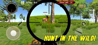 Jungle Hunt Safari（丛林狩猎）手机游戏下载