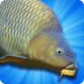 鲤鱼钓鱼模拟器(Arcade Carp Fishing)游戏下载