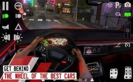 driving school sim中文版