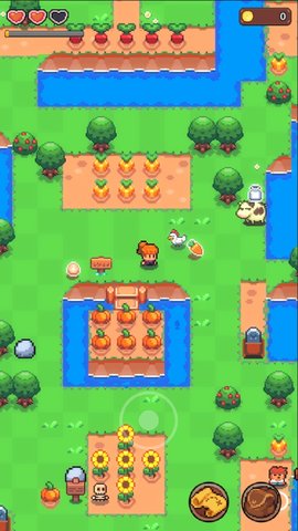 夏日时光最新版