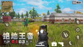 绝地王者游戏免费最新版(Battle Royale 3D H1Z1 Survival)