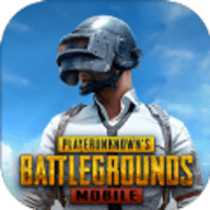 gm直装地铁逃生官方版(PUBG MOBILE)