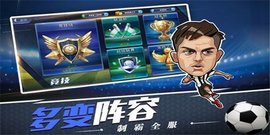 我是大球星手机版