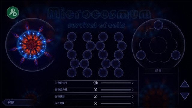 细胞生存战微生物模拟器内置作弊菜单版