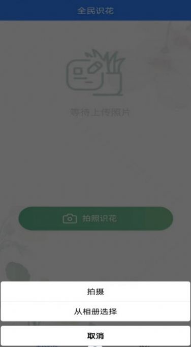 全民识花app