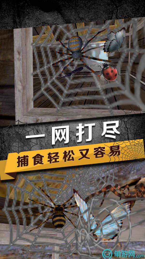 蜘蛛生存模拟器正版(Spider Survival Simulator)