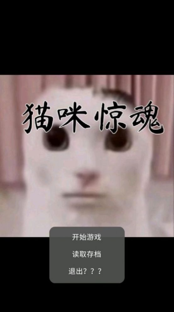 猫咪惊魂中文版