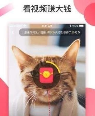 抖淘app