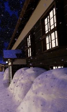 逃离温泉村(Onsen)