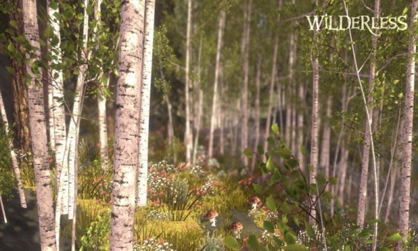 流浪荒野(Wilderless Classic)