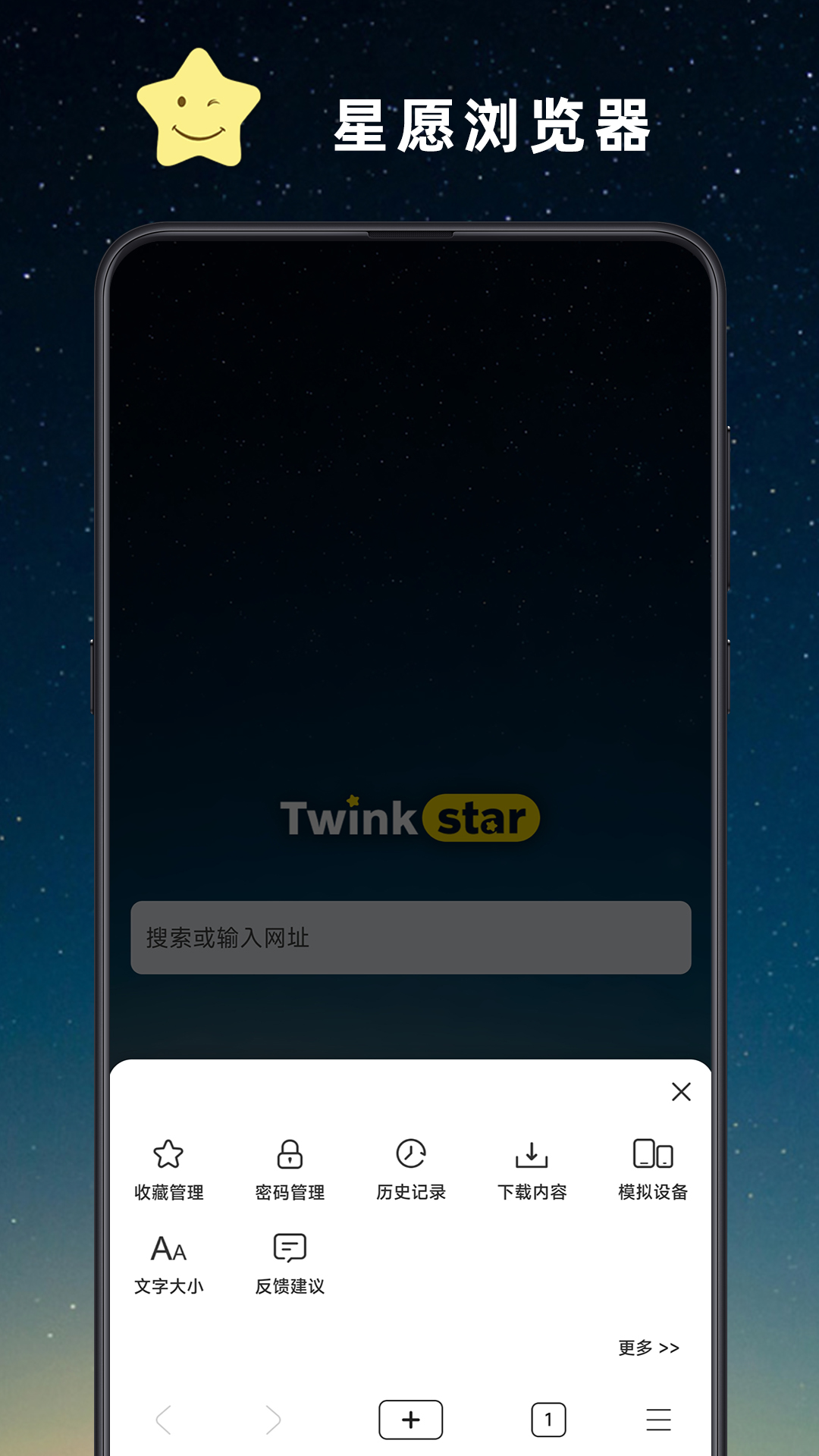 星愿浏览器(Twinkstar)