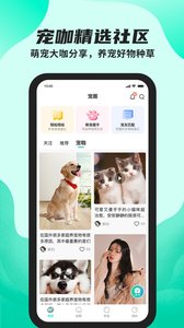 陌哈陌哈官方版