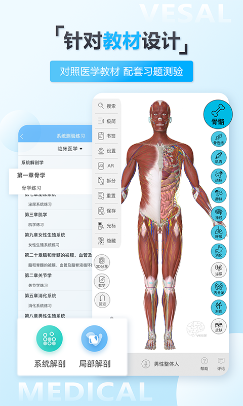 维萨里3D解剖教学