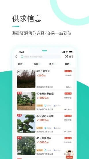 苗搭档苗木平台