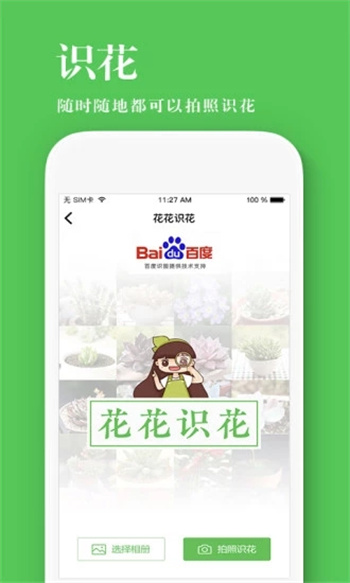 养花大全