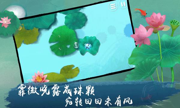 荷露 第2张图