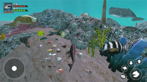 海底大求生 第1张图