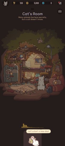 猫咪和汤食谱 第3张图
