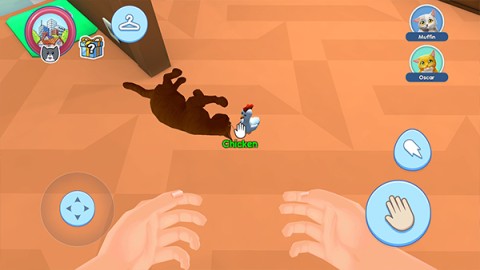 猫咖模拟器2025最新版