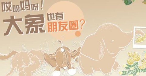 开屏新闻2025最新版 第3张图
