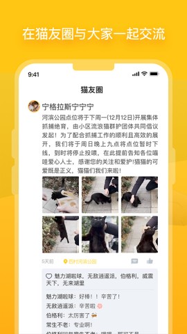 哈啰街猫app官网版
