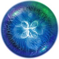 星噬安卓手机版2.5.0