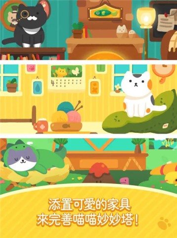 喵楼