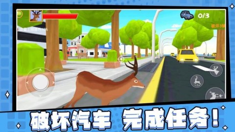动物援救达人