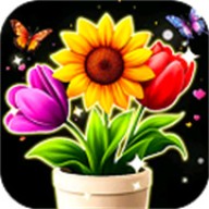 花朵物语
