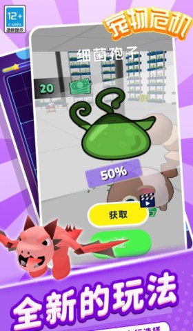 宠物危机 第2张图