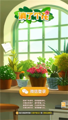 消了个花 第1张图
