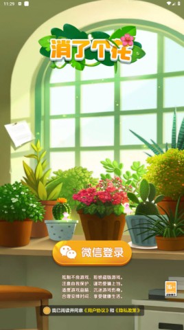 消了个花