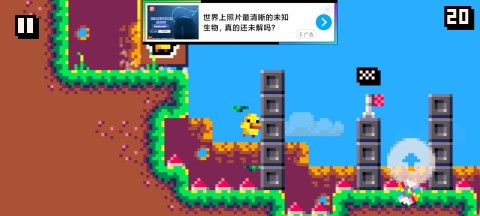 小鸭之魂