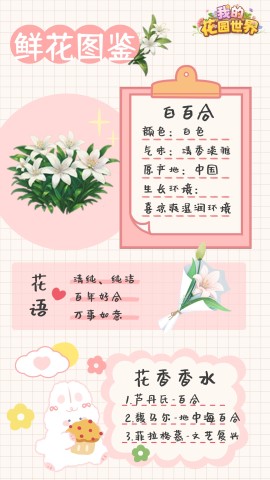 我的花园世界 第1张图